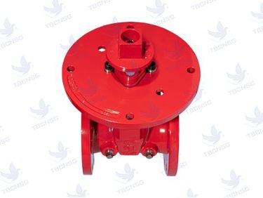 Van Cổng Chìm Tyco TJP UL FM