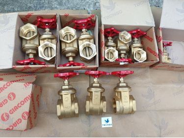 Sản phẩmVan cổng đồng nối ren Giacomini R55