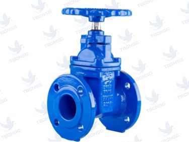 Van cổng Genebre thân gang nối mặt bích 
