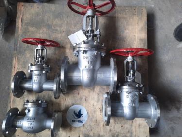 Van Cổng Inox DN65 CF8 Era - Giải Pháp Dòng Chảy Ưu Việt