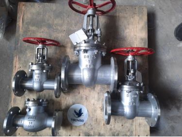 Van Cổng Inox DN65 CF8 Era - Giải Pháp Dòng Chảy Ưu Việt