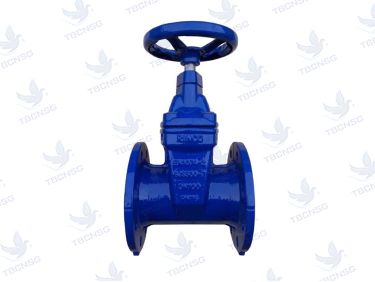 Sản phẩmVan cổng Rinco ty chìm