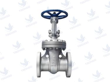 Van cổng Samwoo thân inox nối mặt bích