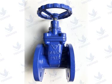 Van cổng Samwoo ty chìm mặt bích, thân gang