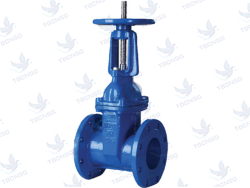 Van cổng Samwoo ty nổi thân gang mặt bíc..