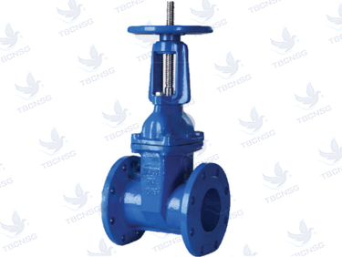 Van cổng Samwoo ty nổi thân gang mặt bích
