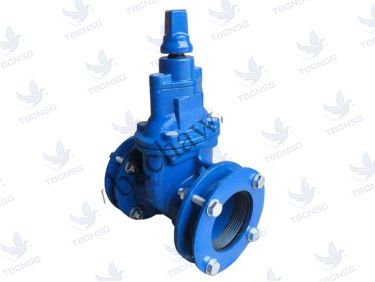 Van Cổng Tek  Gang Dẻo Ty Chìm PN10 thương hiệu Tek Malaysia