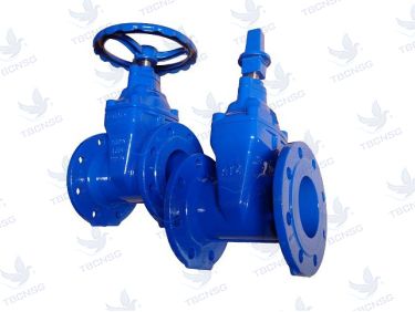 Van Cổng Tek  Gang Dẻo Ty Chìm PN10 thương hiệu Tek Malaysia
