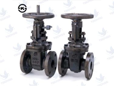 Sản phẩmVan cổng TKG Hàn Quốc ty nổi