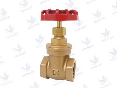Van cổng ty chìm bằng đồng Fivalco Model F2G20