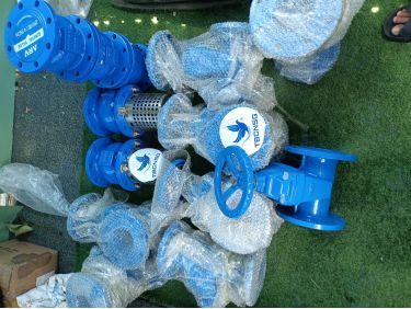 Van cổng ty chìm, đĩa bọc cao su ARV ANRS 100