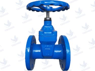 Sản phẩmVan cổng ty chìm, đĩa bọc cao su ARV ANRS 100