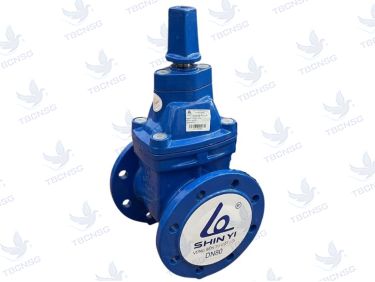Van cổng ty chìm nắp chụp Shinyi RVCX