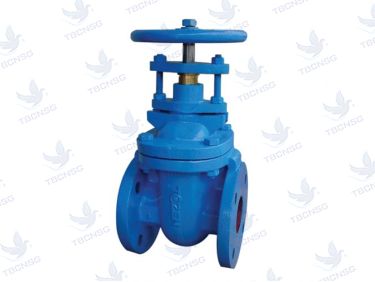 Sản phẩmVan cổng ty chìm Tozen (CGV-B)