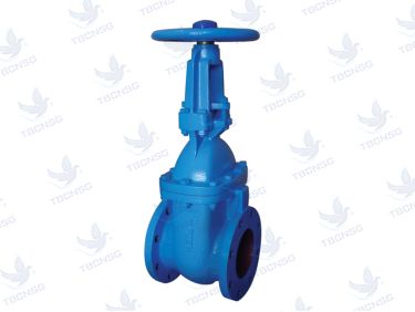 Sản phẩmVan cổng ty nổi Tozen (R-CGV-B)