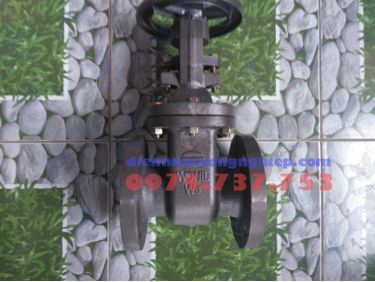 Van Cổng Wonil WSGO-1 Ty Nổi Mặt Bích Inox 304