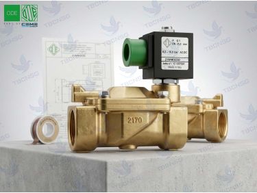 Van điện từ ODE 21W4KV250