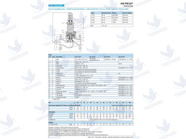Van điều áp ARI Armaturen Fig 753