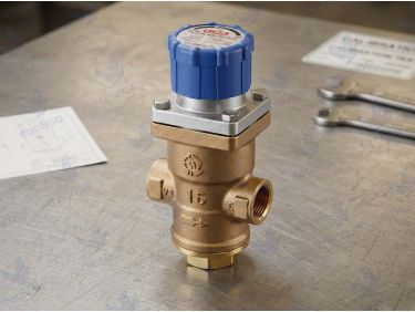Van Giảm Áp Hơi Nóng Venn RD-40