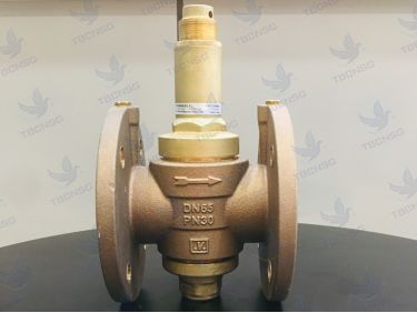 Van giảm áp Malgorani mặt bích