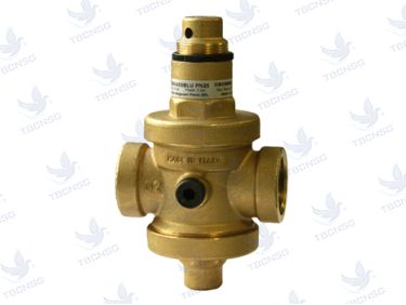 Van giảm áp Malgorani PN25