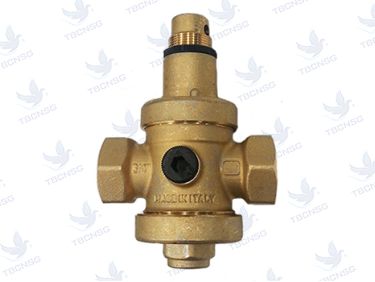 Van giảm áp Malgorani PN25