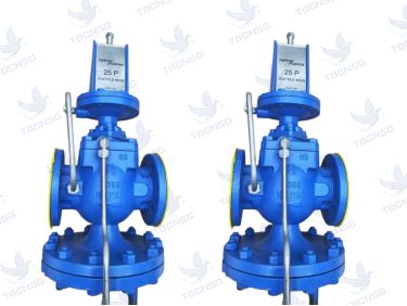 Van giảm áp Spirax Sarco 25P