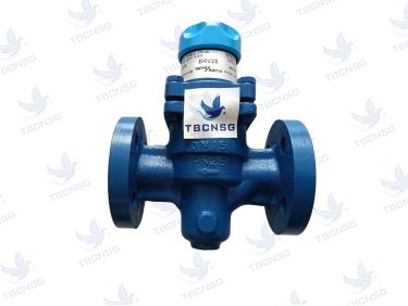 Van giảm áp Spirax Sarco BRV2S / BRV2B