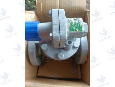 Van Giảm Áp Venn RP-6 Cho Hơi Nước - Chính Hãng