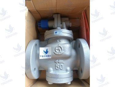 Van Giảm Áp Venn RP-6 Cho Hơi Nước - Chính Hãng