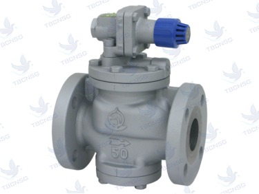 Van Giảm Áp Venn RP-6 Cho Hơi Nước - Chính Hãng