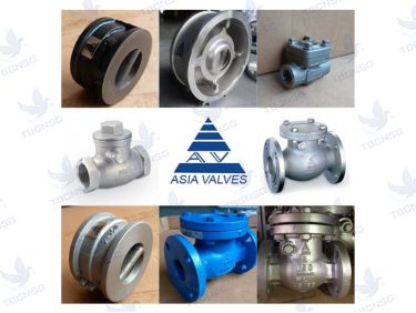 Van một chiều Asia