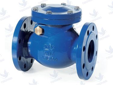 Van một chiều AUT FIG02 kiểu lá lật PN16 Malaysia
