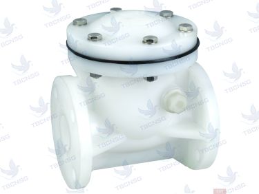 Sản phẩmVan một chiều bằng nhựa PVDF