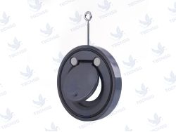Van một chiều cửa lật Shieyu JT300..