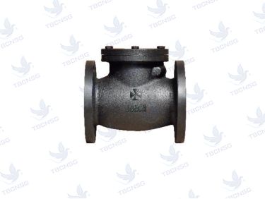 Sản phẩmVan một chiều Joeun Cast Iron 10K Flanged