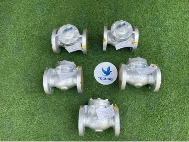 Van một chiều Kitz Fig.10FCO thân gang nối bích JIS 10K