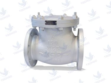 Sản phẩmVan một chiều KSB ECOLINE SCC 150 600 chính hãng