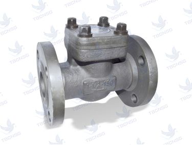 Sản phẩmVan Một Chiều KSB ECOLINE SCF 150 600 chính hãng