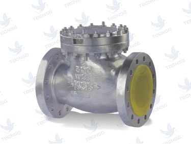 Sản phẩmVan Một Chiều KSB SICCA 150-600 SCC