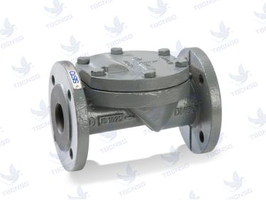 Sản phẩmVan một chiều KSB SISTO RSK chính hãng TBCNSG