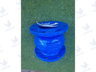 Van một chiều lò xo ARV ASC600