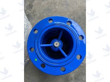 Van một chiều lò xo AUT Malaysia thân gang cầu GGG50 nối bích DN50 đến DN300