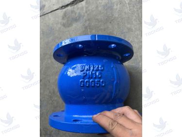 Van một chiều lò xo AUT Malaysia thân gang cầu GGG50 nối bích DN50 đến DN300