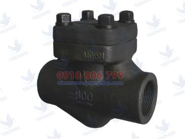 Sản phẩmVan Một Chiều Ren Thép Class 800 Đài Loan