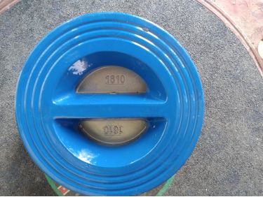 Van Một Chiều Rinco Cánh Bướm Nối Kẹp DN50-DN200