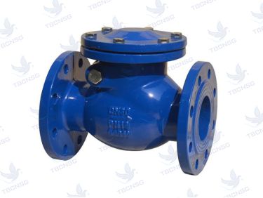 Van một chiều SOY (Check valve)