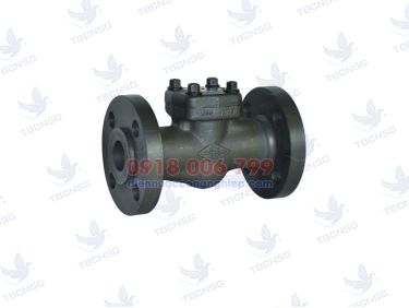 Sản phẩmVan Một Chiều Thép Lắp Bích ANSI - DN50-DN200
