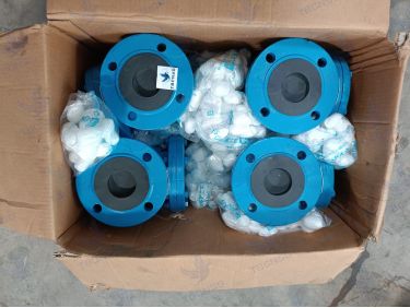 Van một chiều Tozen CCV lá lật