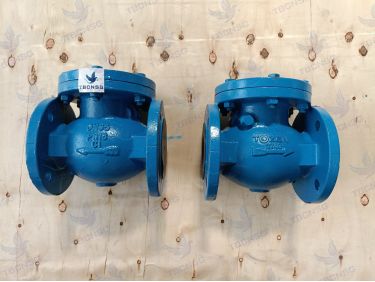 Sản phẩmVan một chiều Tozen CCV lá lật